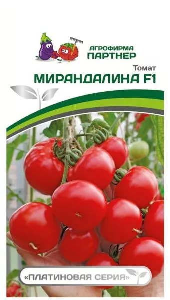mirandalina-2-166853