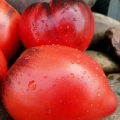 mladshiy-serzhant-10-167442