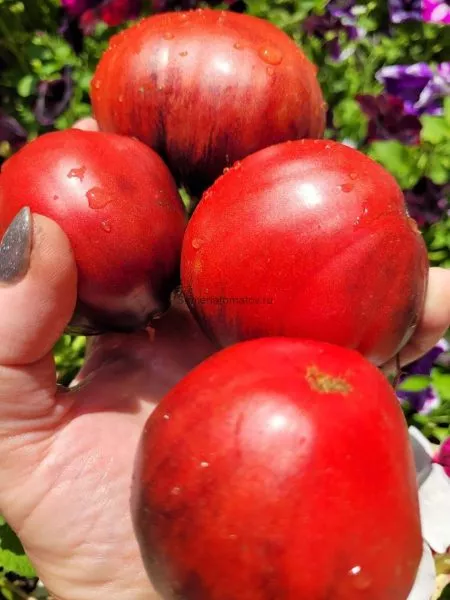 mladshiy-serzhant-4-167442