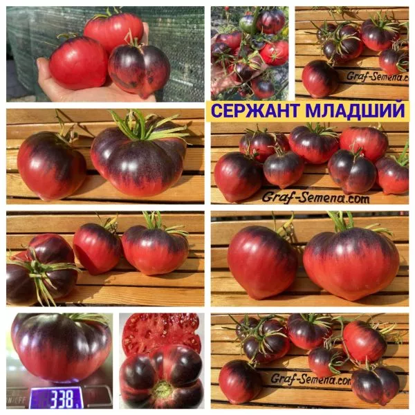 mladshiy-serzhant-5-167442