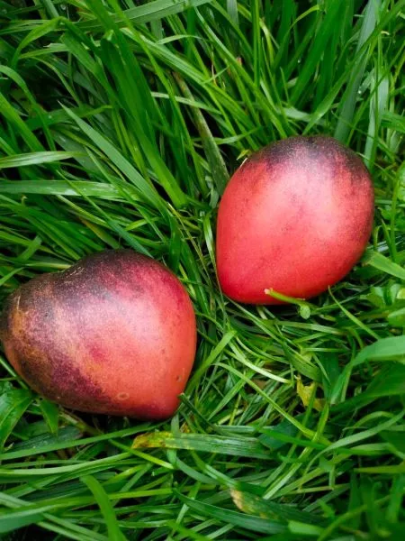 mladshiy-serzhant-6-167442