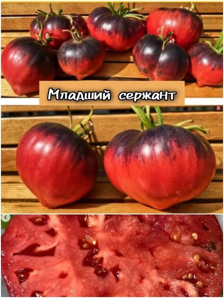 mladshiy-serzhant-7-167442