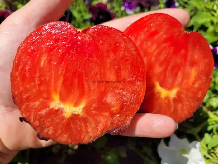 mladshiy-serzhant-8-167442