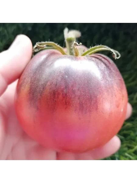 mladshiy-serzhant-main-167442