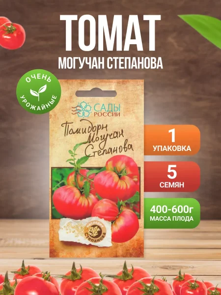 moguchan-stepanova-2-150936