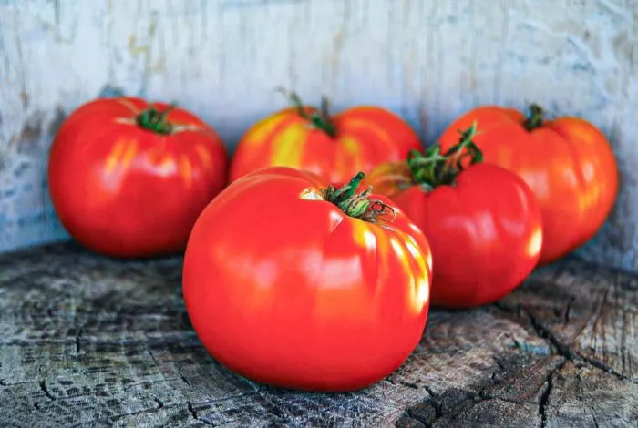 moguchan-stepanova-5-150936