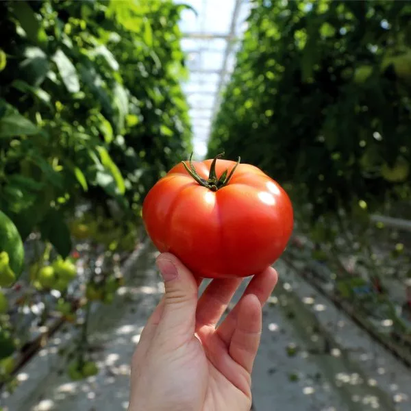 moguchan-stepanova-7-150936