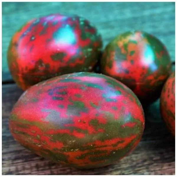 morskie-kolokolchiki-2-158978