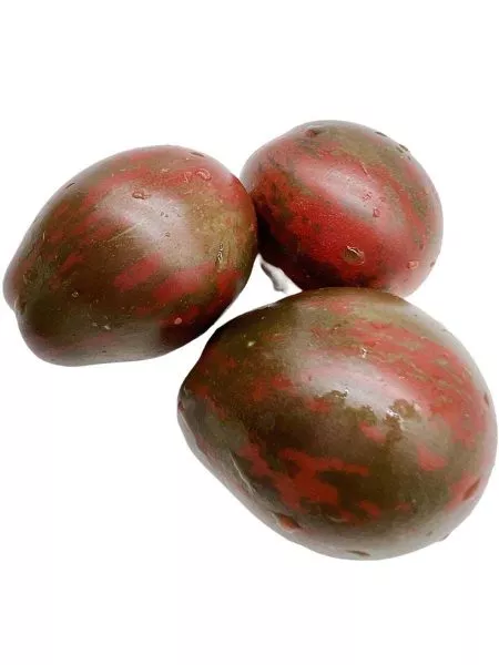 morskie-kolokolchiki-7-158978