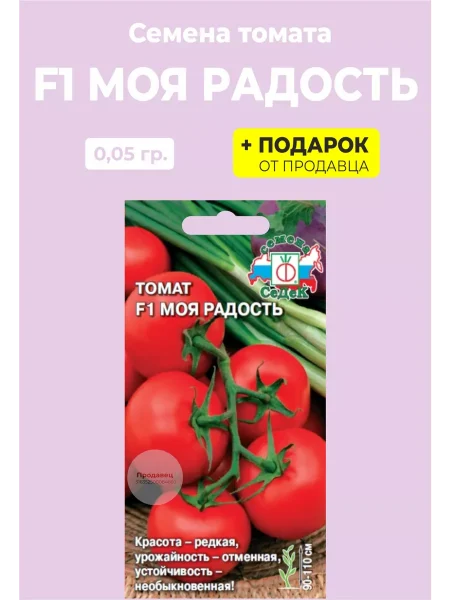 moya-radost-2-137378