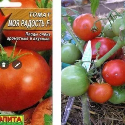 moya-radost-4-137378