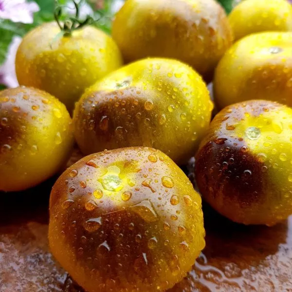 mutnye-vody-3-139422