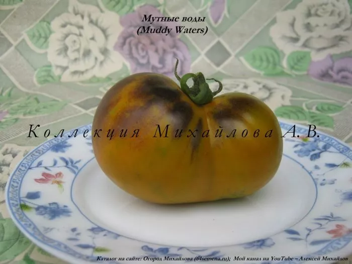 mutnye-vody-5-139422