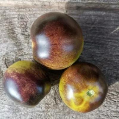 mutnye-vody-6-139422