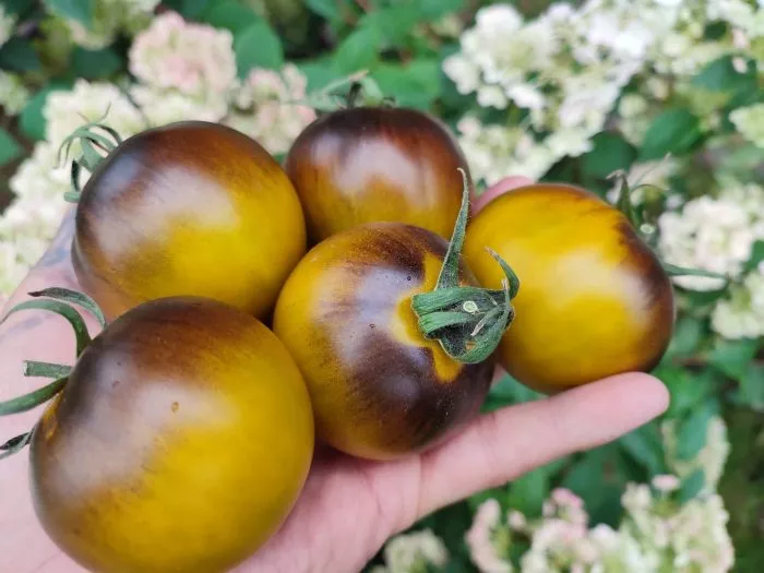 mutnye-vody-main-139422