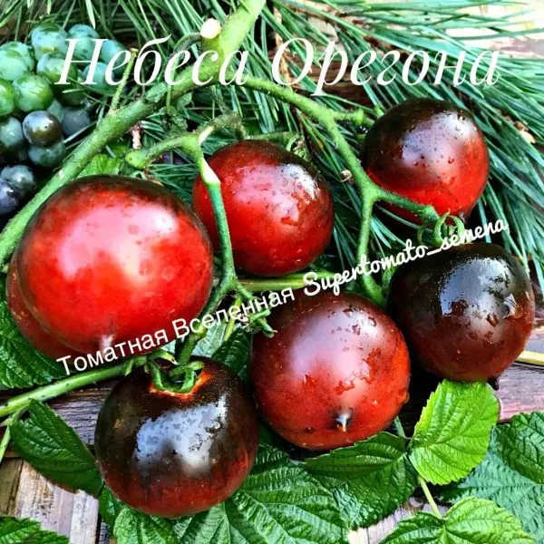 nebesa-oregona-2-161016