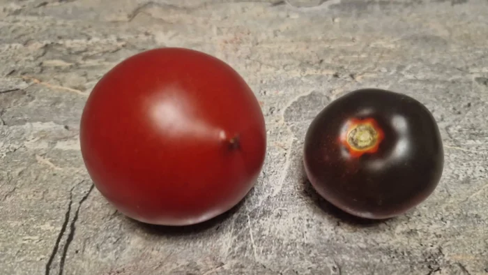 nebesa-oregona-5-161016