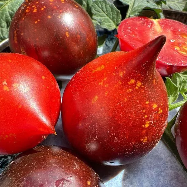 nebesa-oregona-8-161016