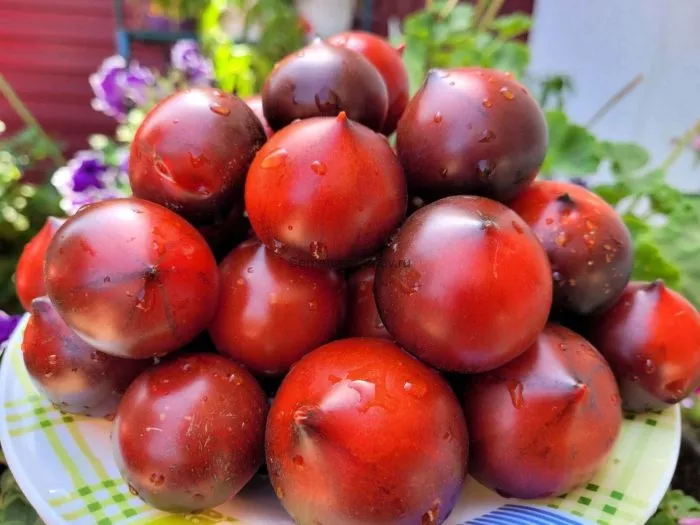 nebesa-oregona-main-161016