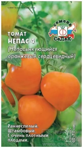 nepas-4-nepasynkuyuschiysya-oranzhevyy-serdtsevidnyy-1-168607