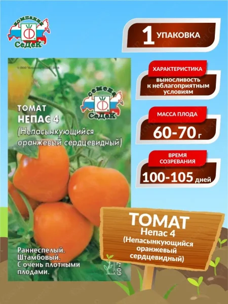 nepas-4-nepasynkuyuschiysya-oranzhevyy-serdtsevidnyy-4-168607