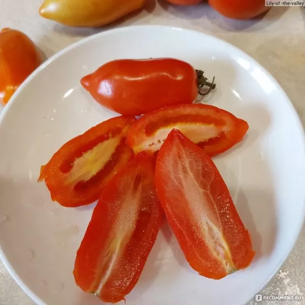 nepas-8-nepasynkuyuschiysya-morkovnyy-main-143540