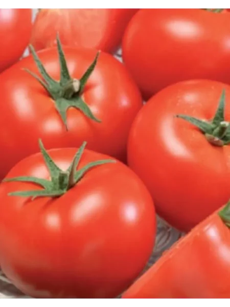 nepasynkuyuschiysya-krasnyy-4-168679