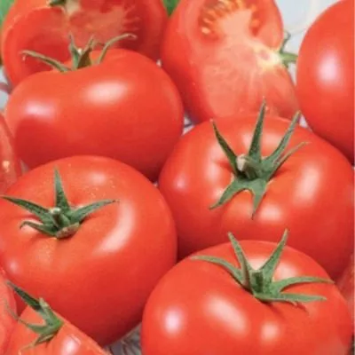 nepasynkuyuschiysya-krasnyy-6-168679