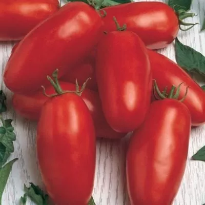 nepasynkuyuschiysya-zasolochnyy-6-168805