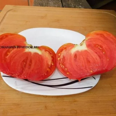 nikolay-nikolaevich-10-168395