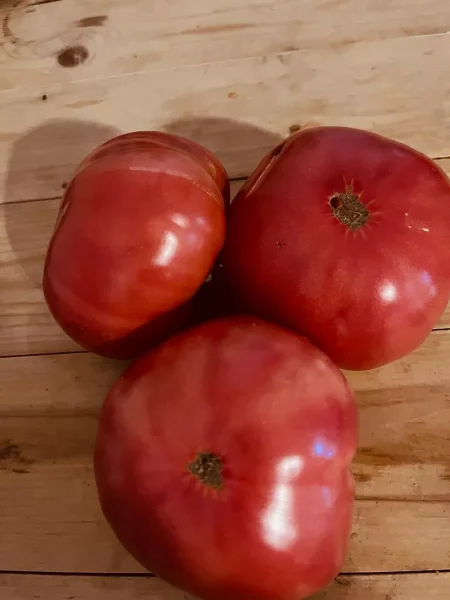 nikolay-nikolaevich-2-168395