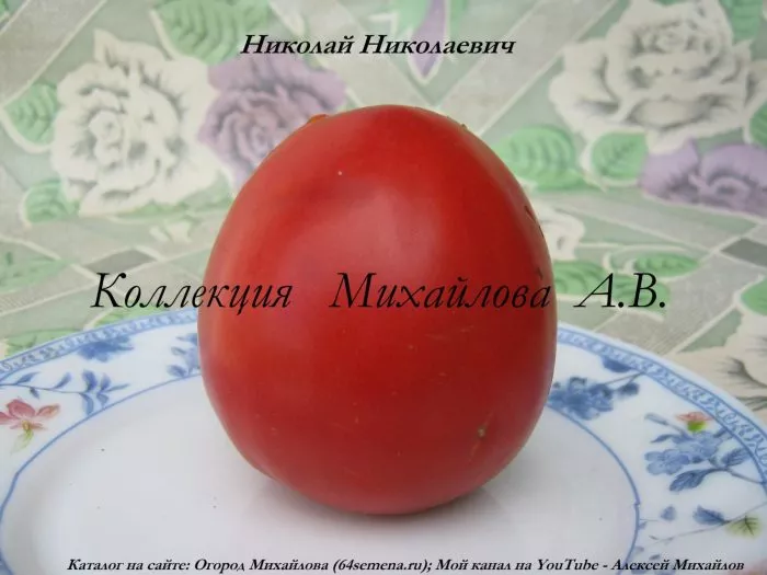 nikolay-nikolaevich-4-168395