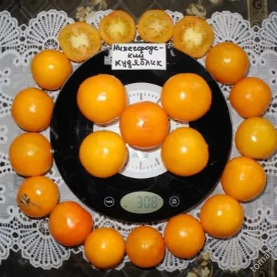 nizhegorodskiy-kudyablik-8-150525