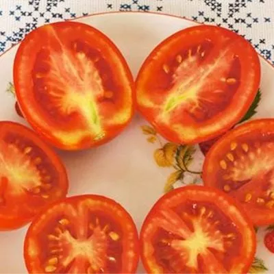 novinka-pridnestrovya-7-150921