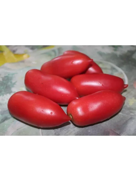 novogodnie-svechi-main-160932