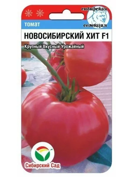 novosibirskiy-hit-1-139110-1