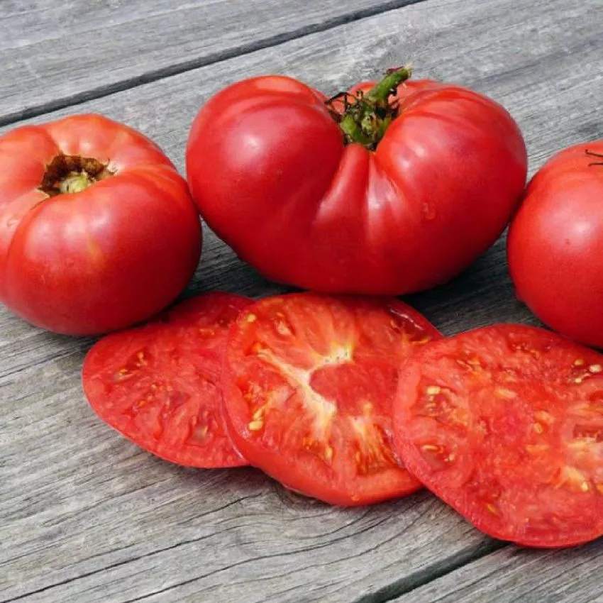 novyy-bolshoy-gnom-2-132580