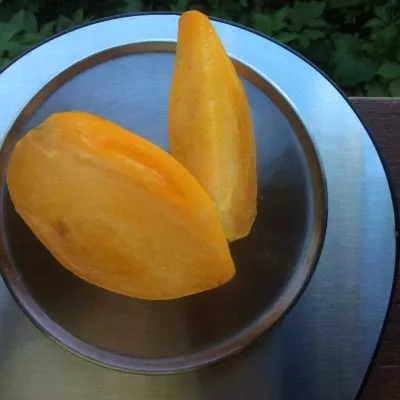 novyy-kenigsberg-oranzhevyy-6-139673