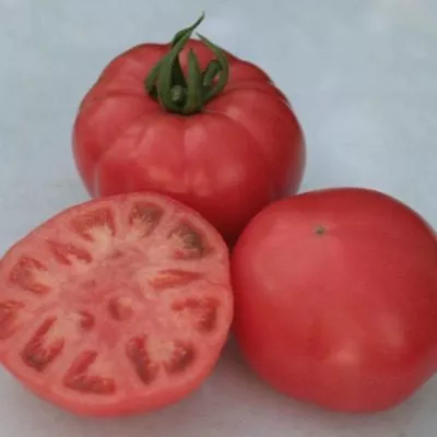 nuzhnyy-razmer-4-139434