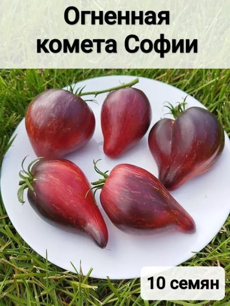ognennaya-kometa-sofii-7-159069