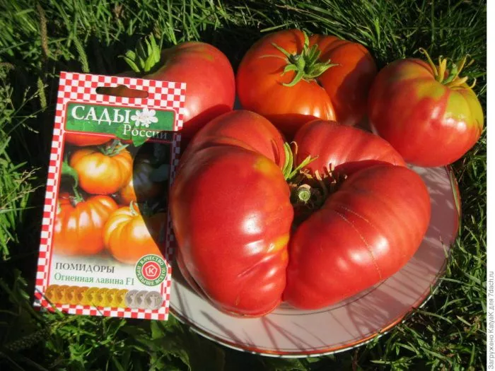 ognennaya-lavina-1-163929