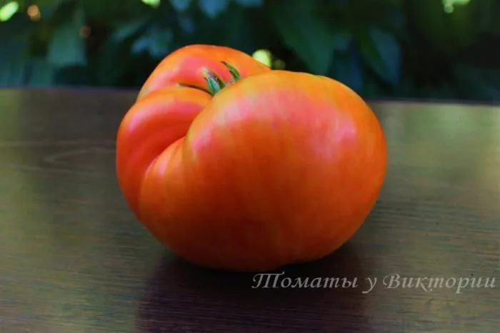 ognennaya-lavina-2-163929