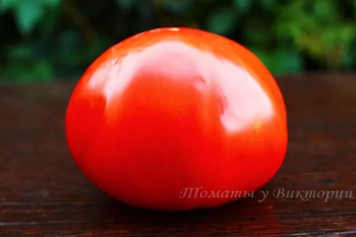 ognennaya-lavina-3-163929