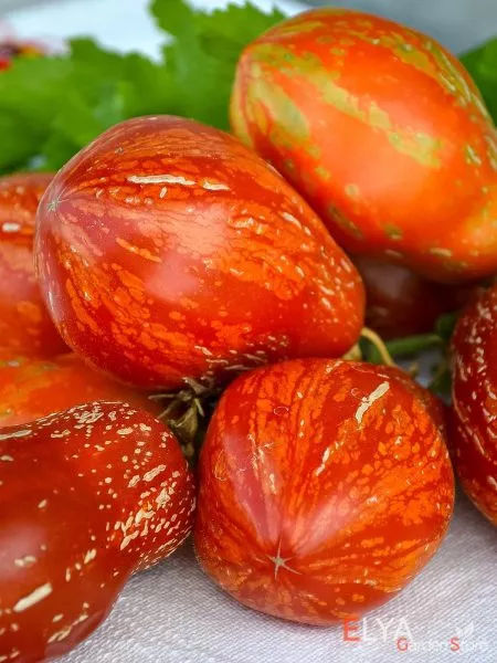 ognennyy-shar-1-155182