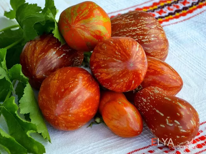 ognennyy-shar-2-155182