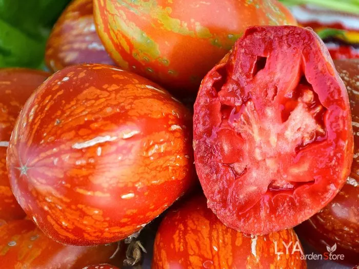 ognennyy-shar-3-155182