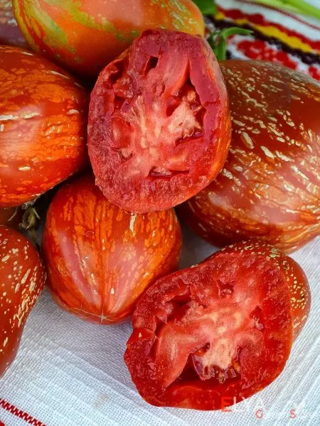 ognennyy-shar-4-155182