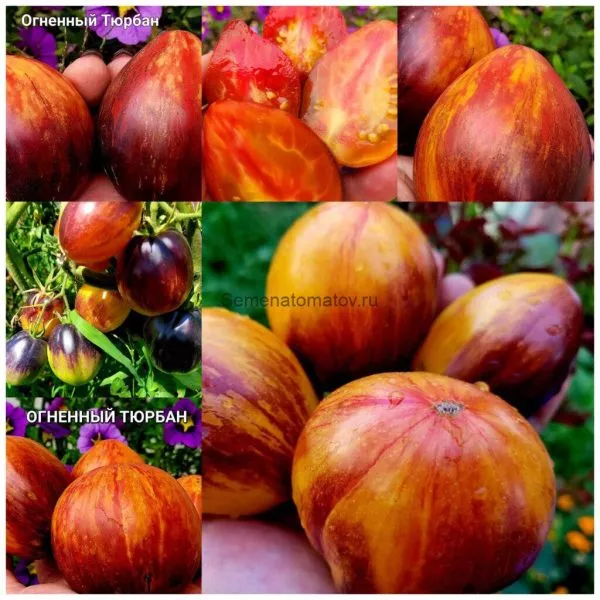 ognennyy-tyurban-1-150353