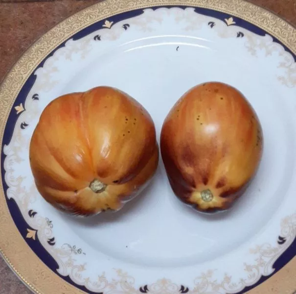 ognennyy-tyurban-2-150353