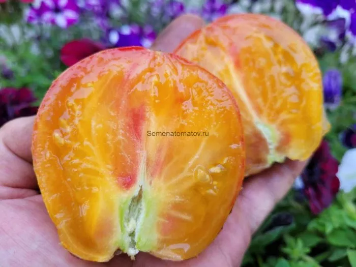 ognennyy-tyurban-3-150353